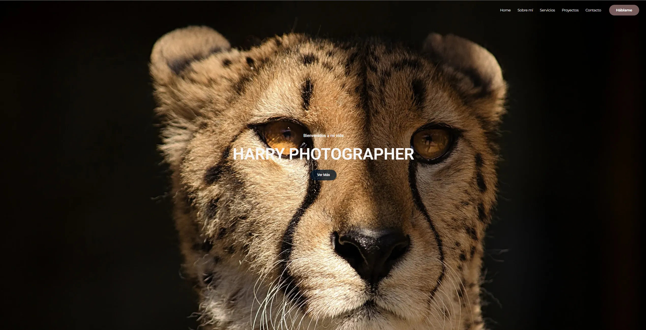 Web para fotógrafos